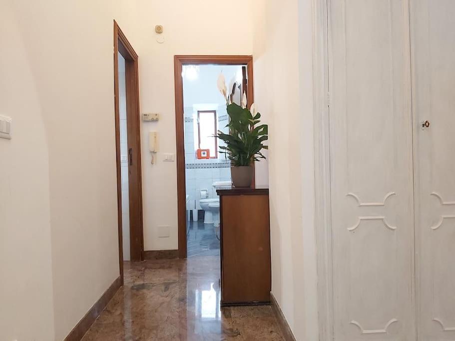 Appartamento Al Colosseo 罗马 外观 照片