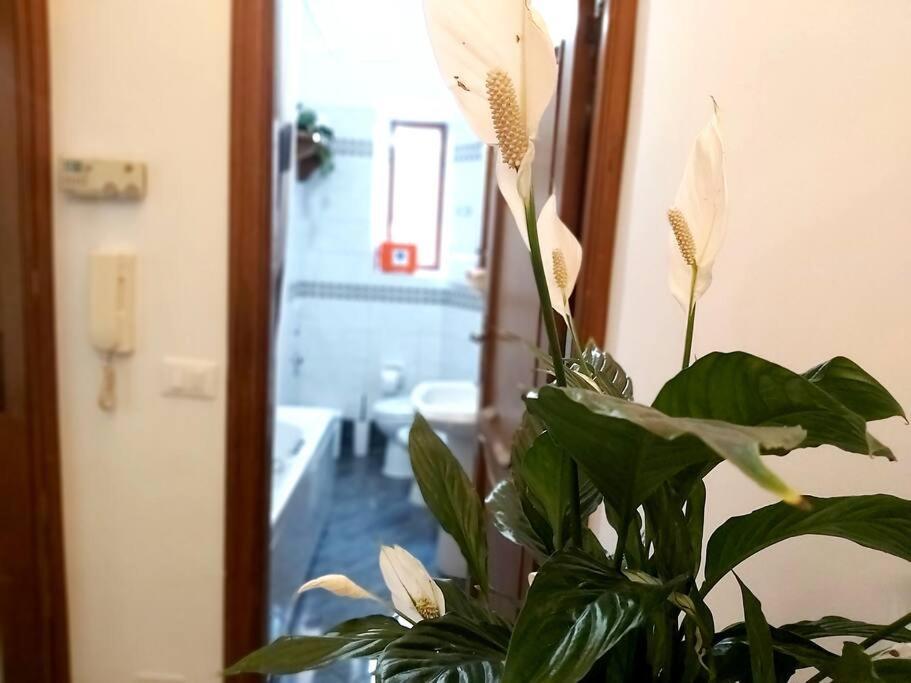 Appartamento Al Colosseo 罗马 外观 照片
